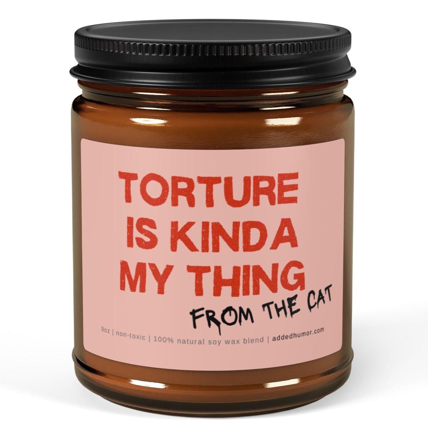 Torture Is Kinda My Thing 9oz Soy Wax Candle