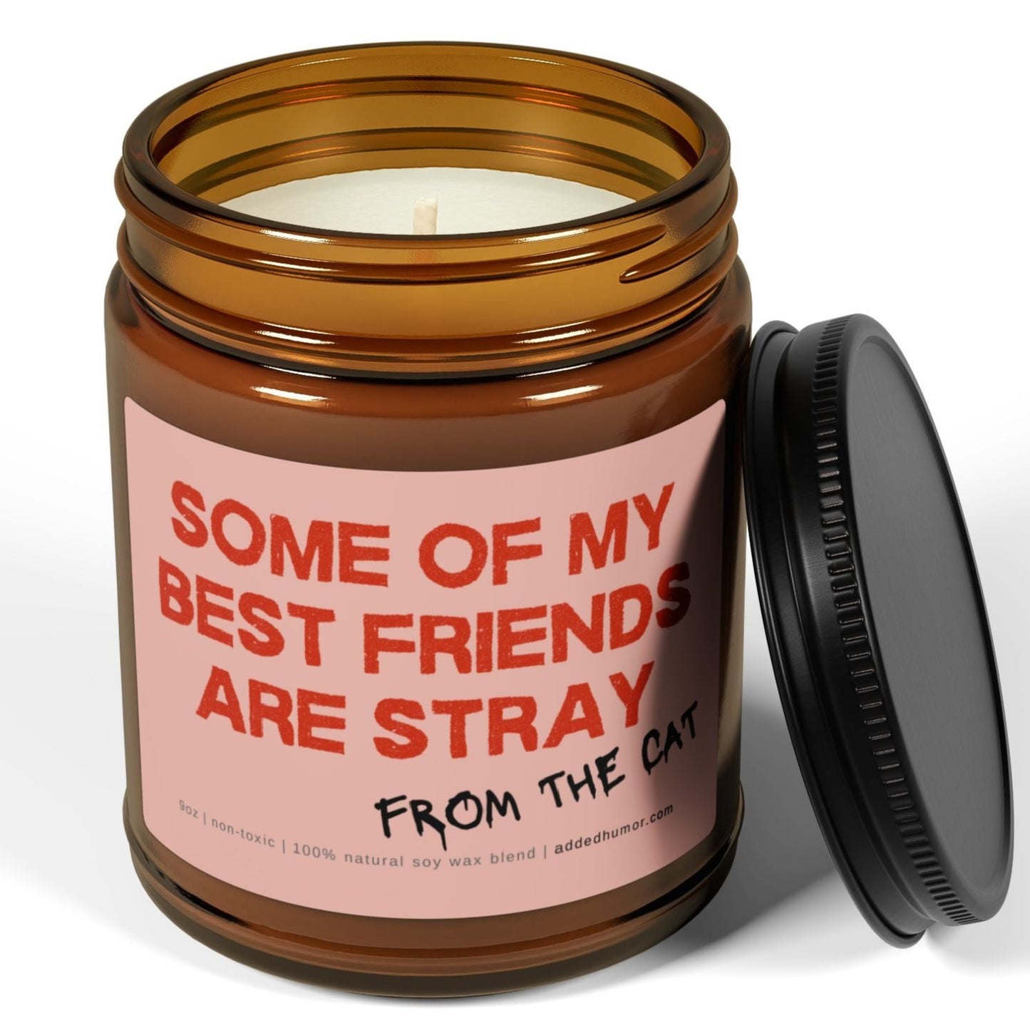 Some Of My Best Friends Are Stray 9oz Soy Wax Funny Candle