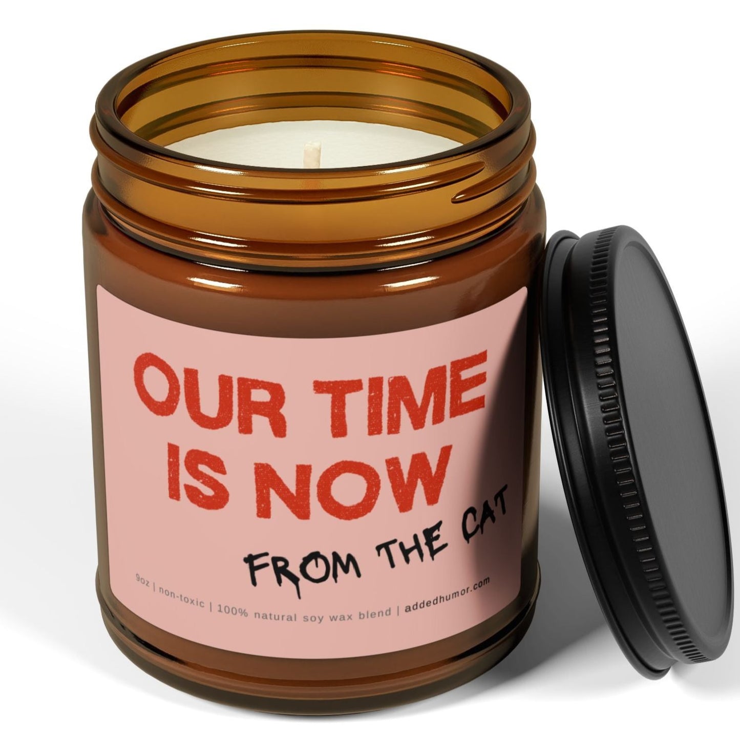 Our Time Is Now 9oz Soy Wax Funny Candle