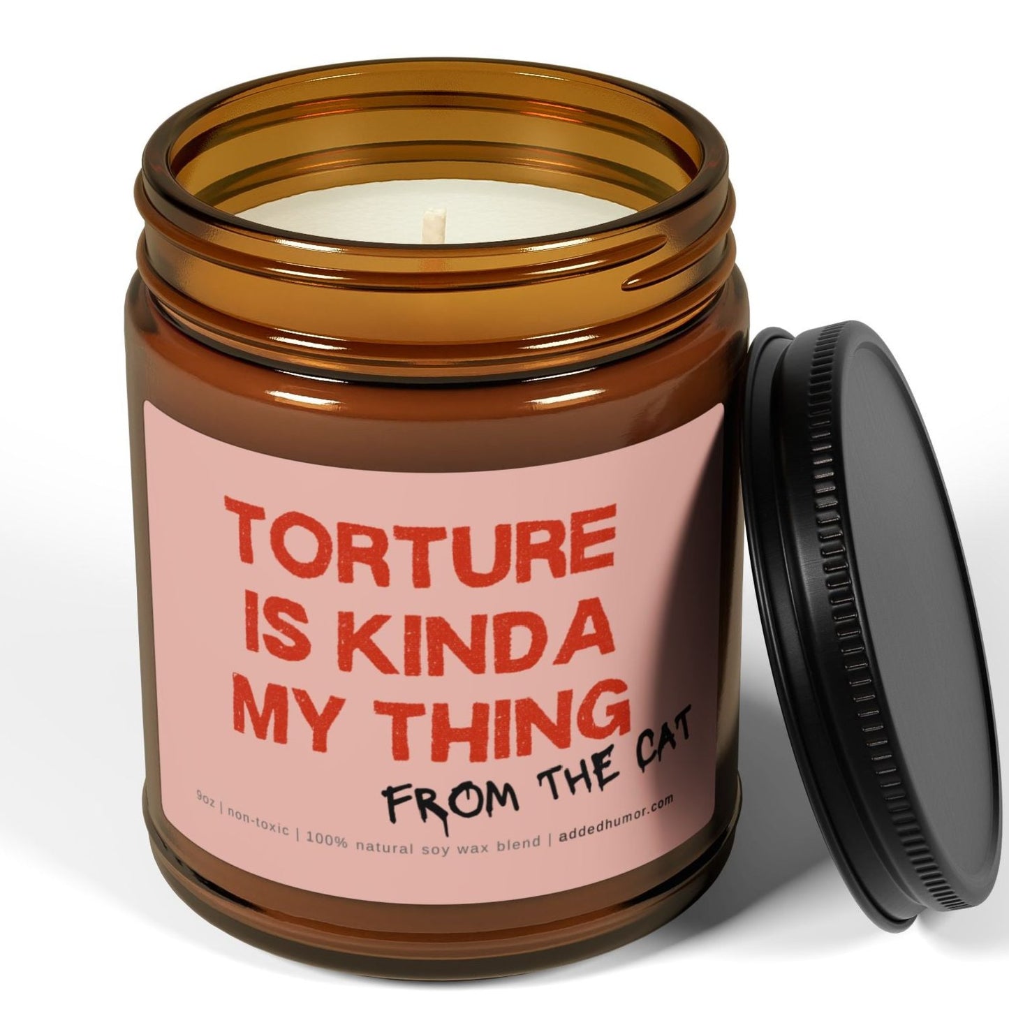 Torture Is Kinda My Thing 9oz Soy Wax Candle