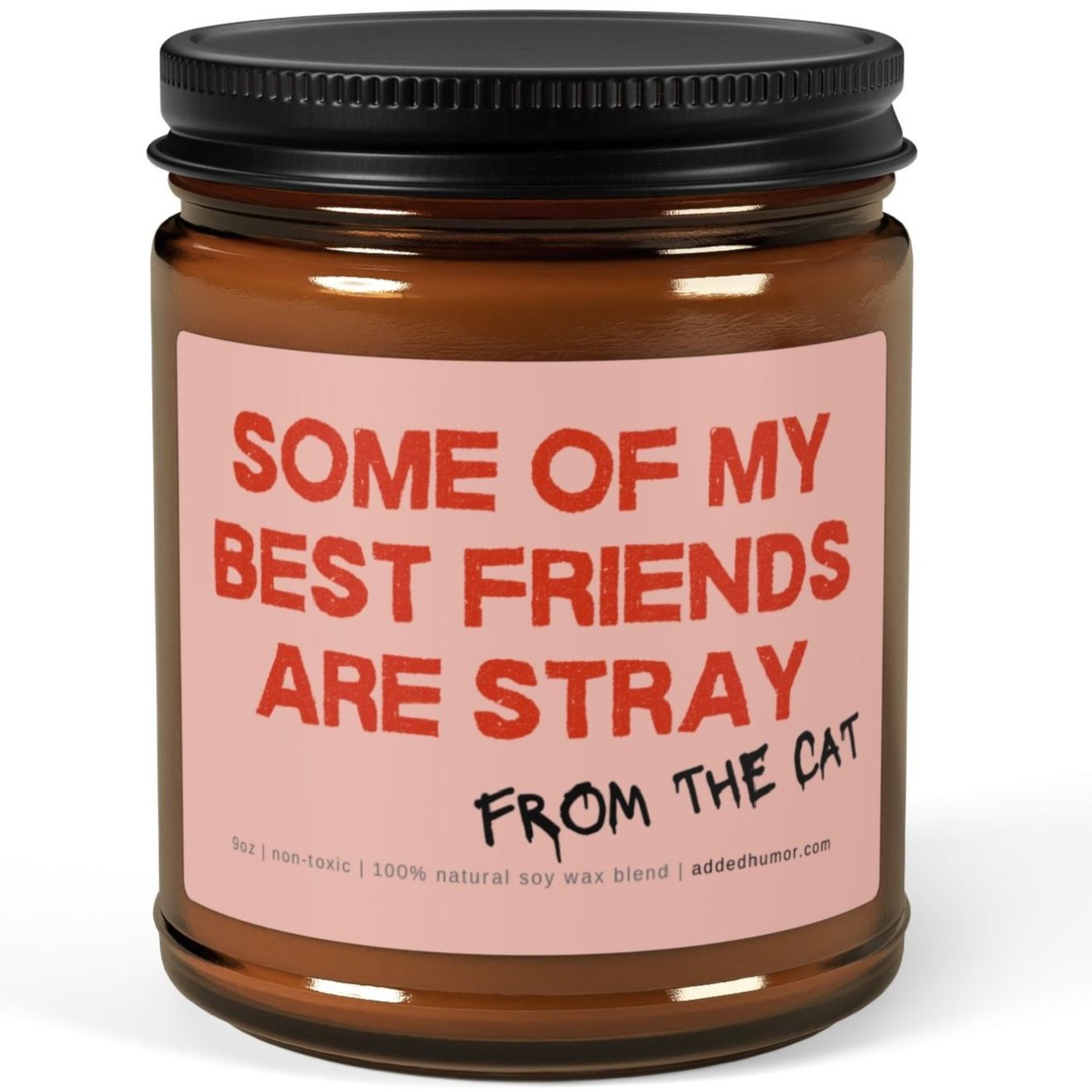 Some Of My Best Friends Are Stray 9oz Soy Wax Funny Candle