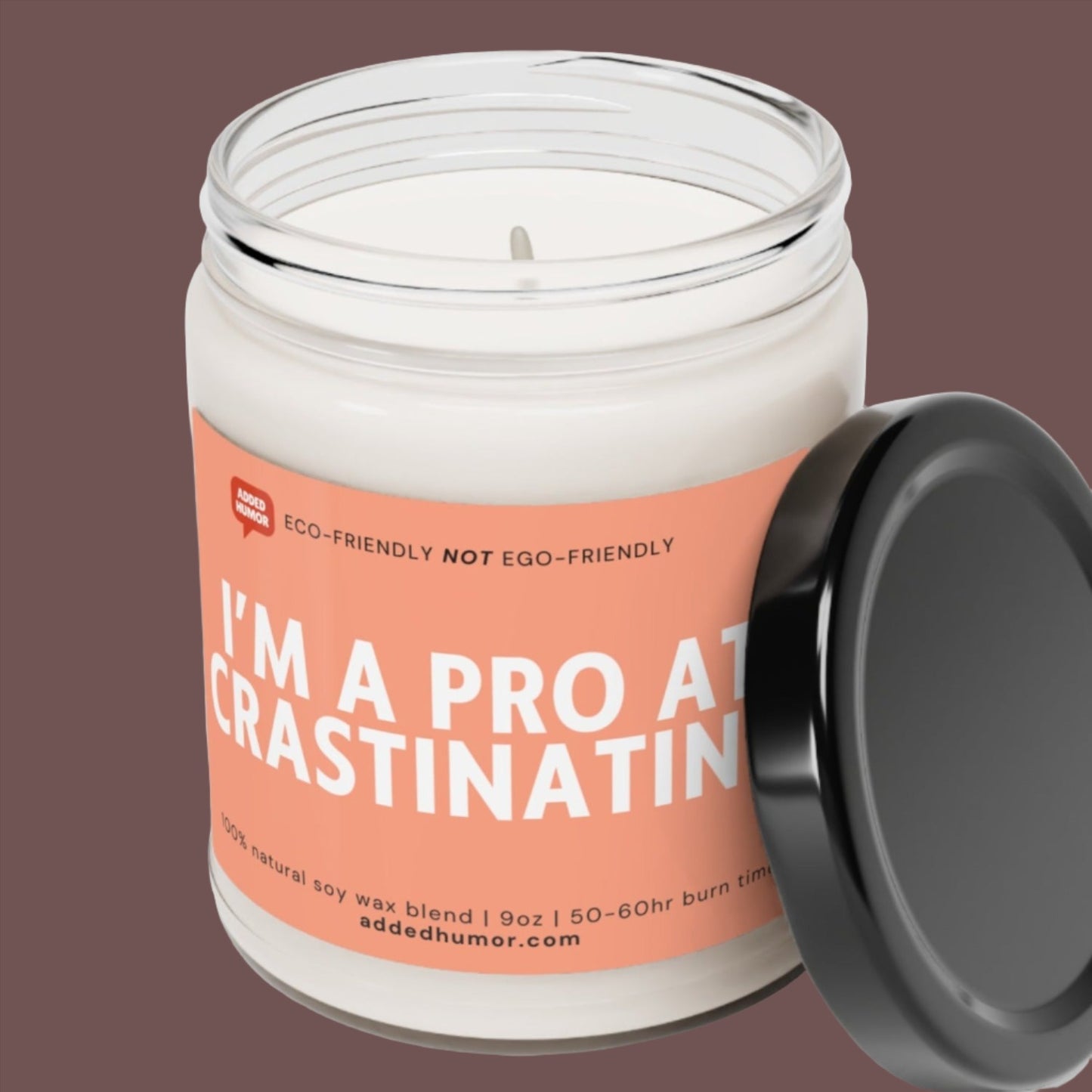 I'm A Pro At Crastinating Scented Soy Funny Candle