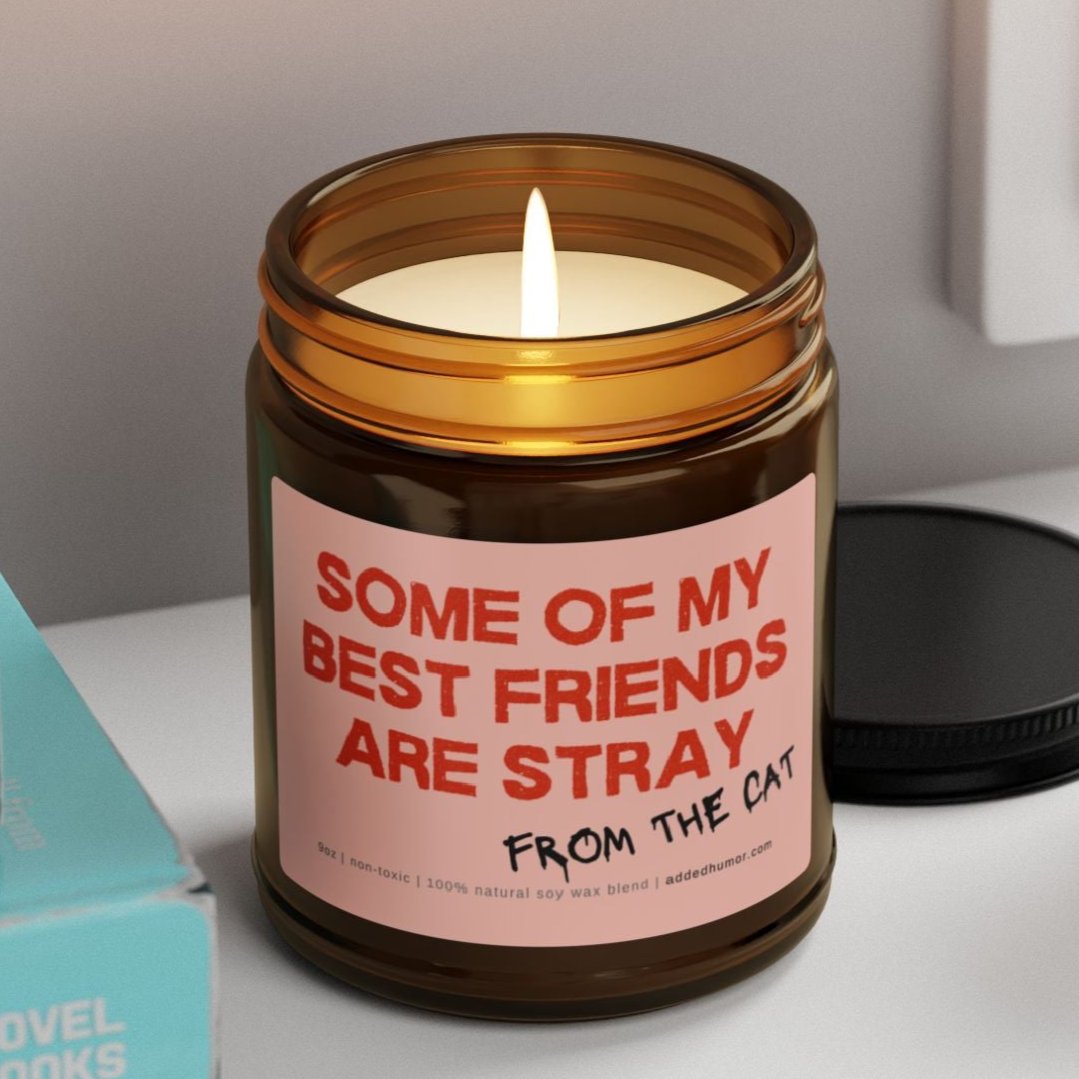 Some Of My Best Friends Are Stray 9oz Soy Wax Funny Candle