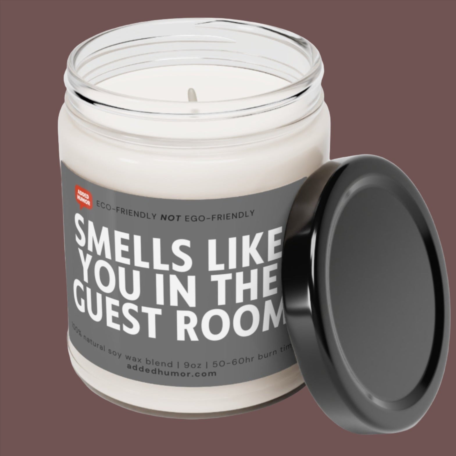 Smells Like You In The Guest Room Scented Soy Funny Candle