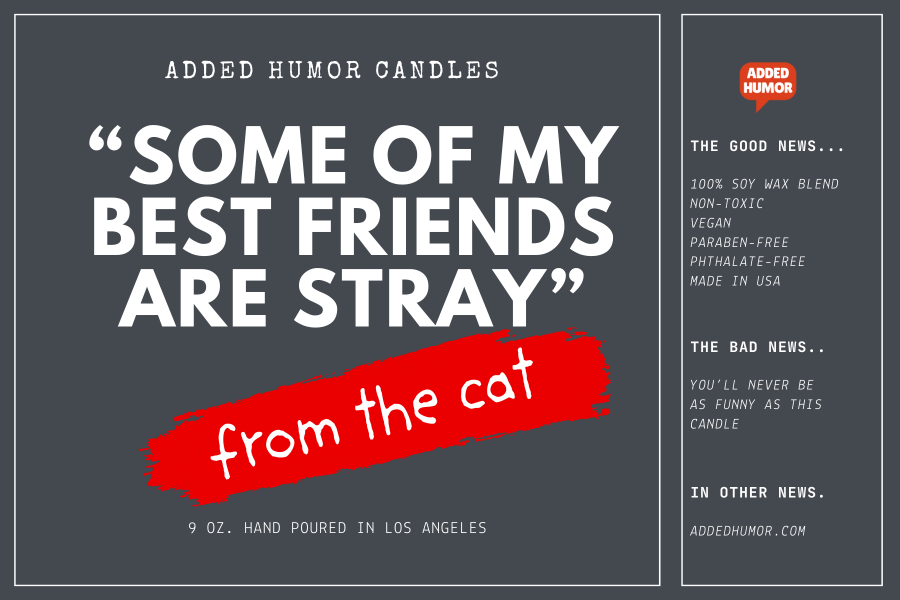 Some of my Best Friends are Stray 9oz Soy Wax Funny Candle