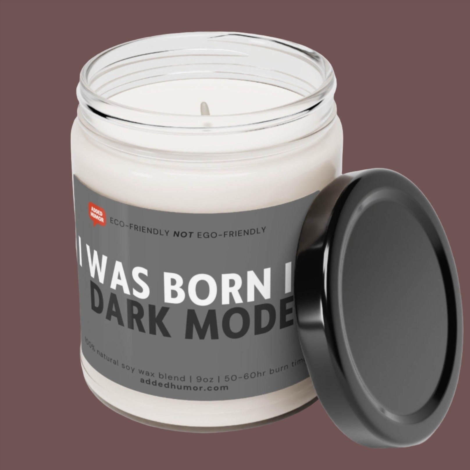 I Was Born In Dark Mode Scented Soy Funny Candle