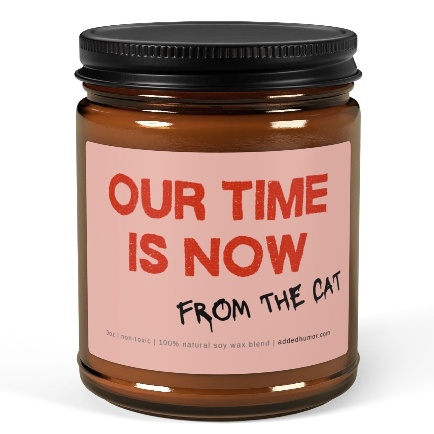 Our Time Is Now 9oz Soy Wax Funny Candle