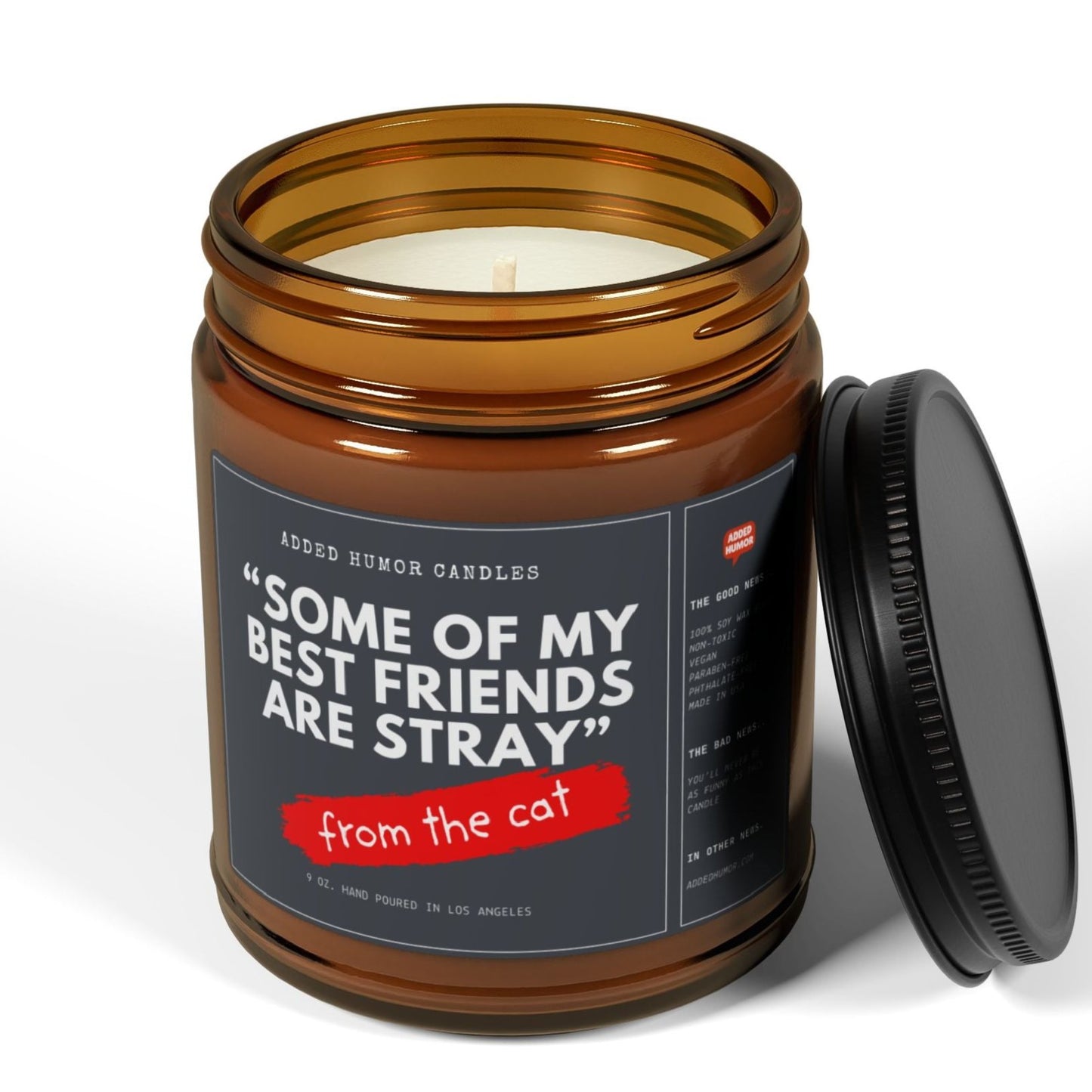 Some of my Best Friends are Stray 9oz Soy Wax Funny Candle