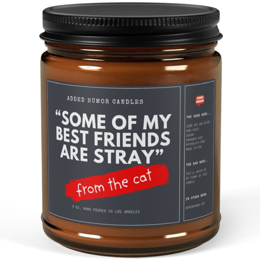 Some of my Best Friends are Stray 9oz Soy Wax Funny Candle