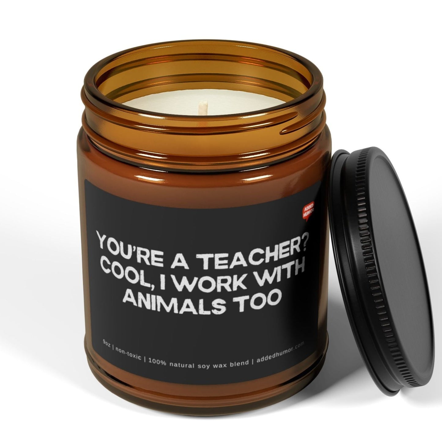 You're a Teacher? Cool, I work with animals too 9oz Amber Candle