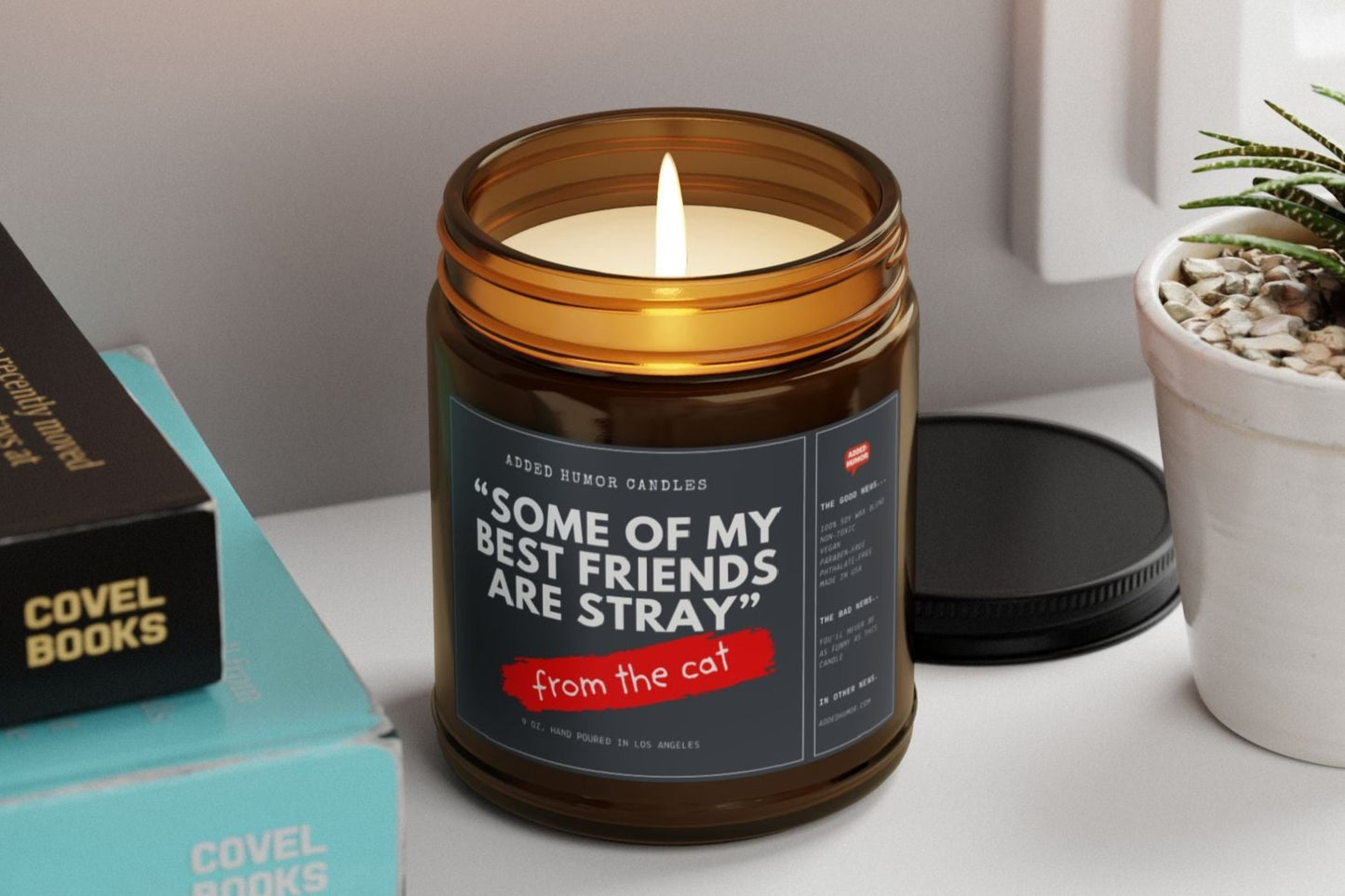 Some of my Best Friends are Stray 9oz Soy Wax Funny Candle