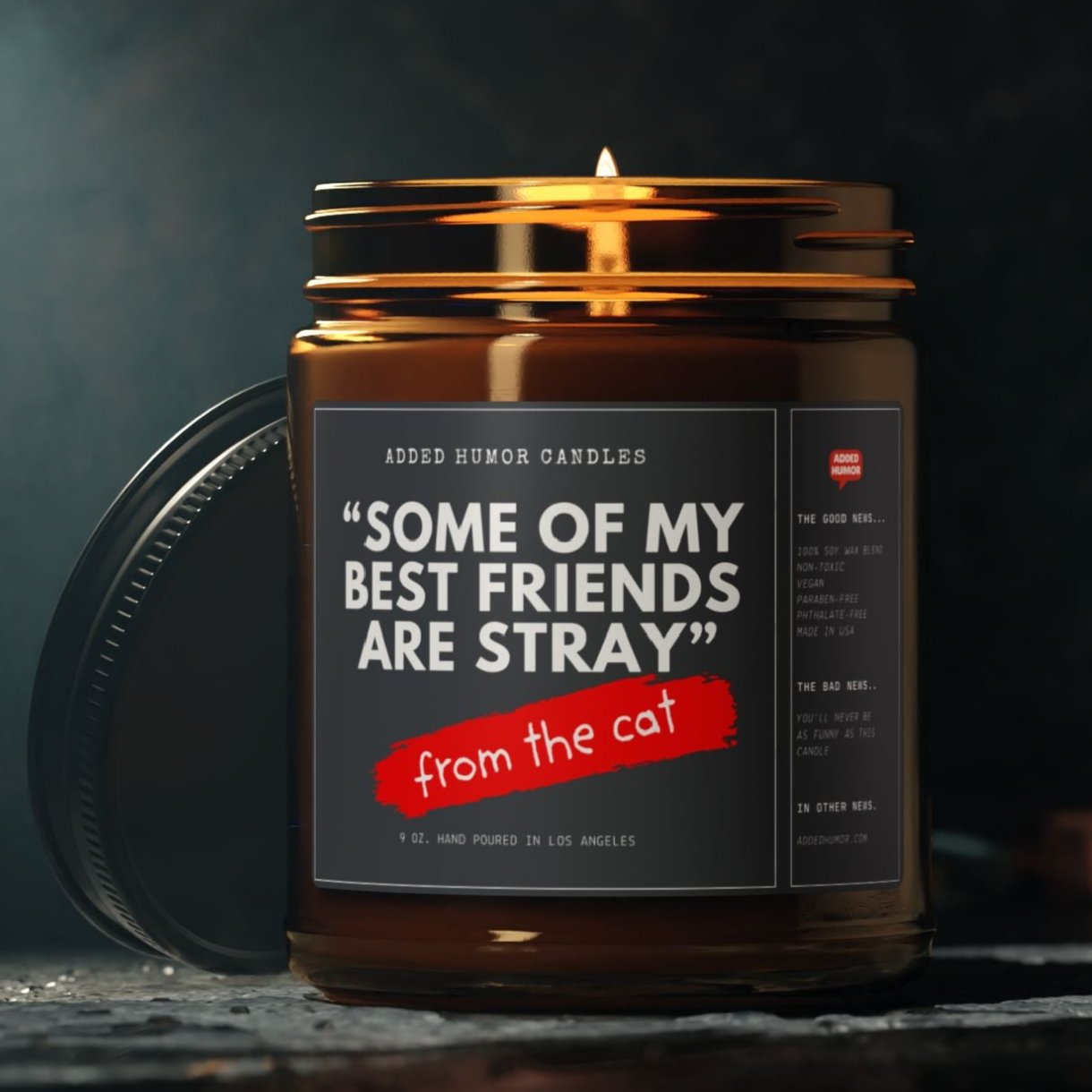 Some of my Best Friends are Stray 9oz Soy Wax Funny Candle